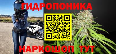 прущие крисы Заволжье